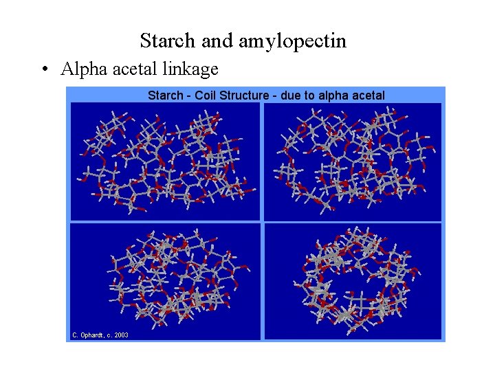 Starch and amylopectin • Alpha acetal linkage 