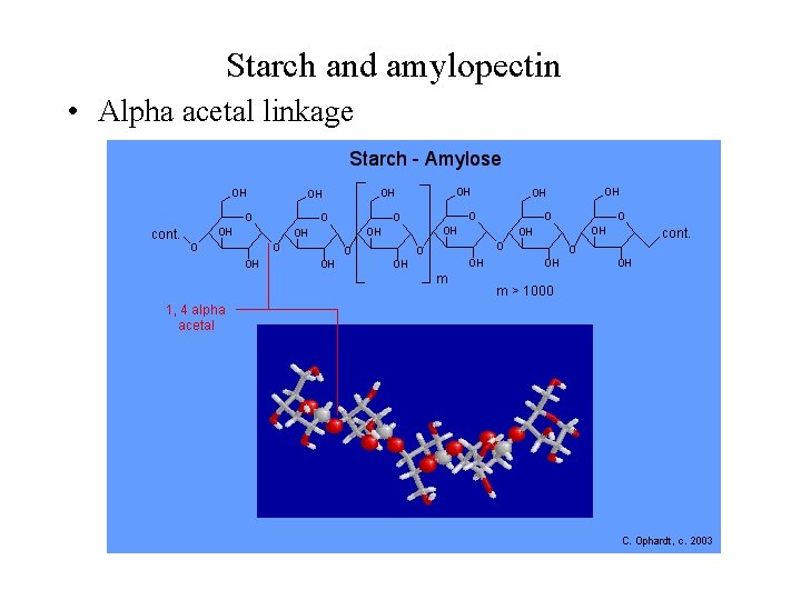 Starch and amylopectin • Alpha acetal linkage 