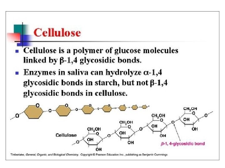 Cellulose • Beta acetal linkages; Plant structures 