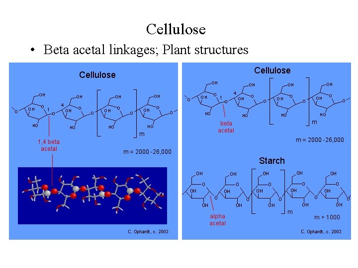 Disaccharides Disaccharides Disaccharides Maltose Glucose glucose alpha