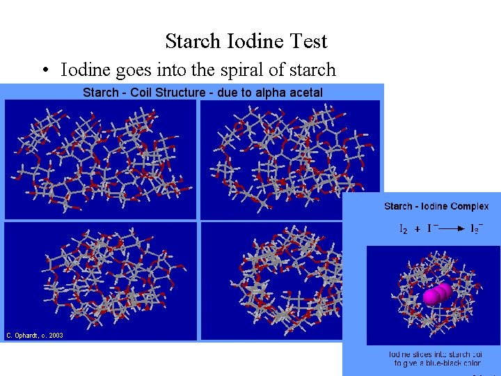 Starch Iodine Test • Iodine goes into the spiral of starch 