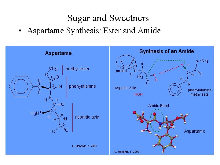 Sugar and Sweetners • Aspartame Synthesis: Ester and Amide 