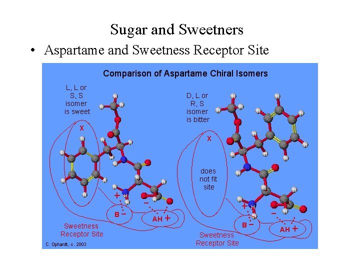 Sugar and Sweetners • Aspartame and Sweetness Receptor Site 