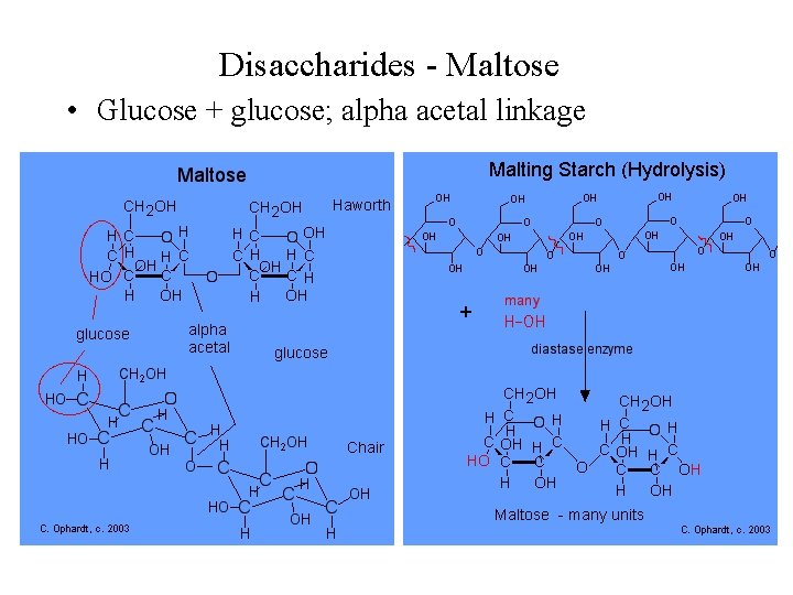 Disaccharides - Maltose • Glucose + glucose; alpha acetal linkage 
