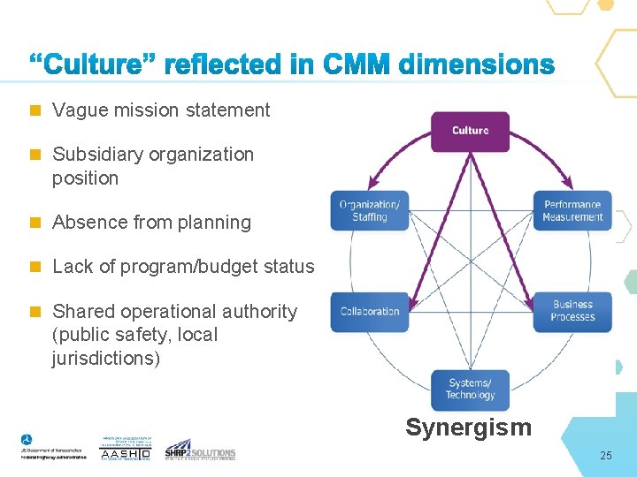  Vague mission statement Subsidiary organization position Absence from planning Lack of program/budget status