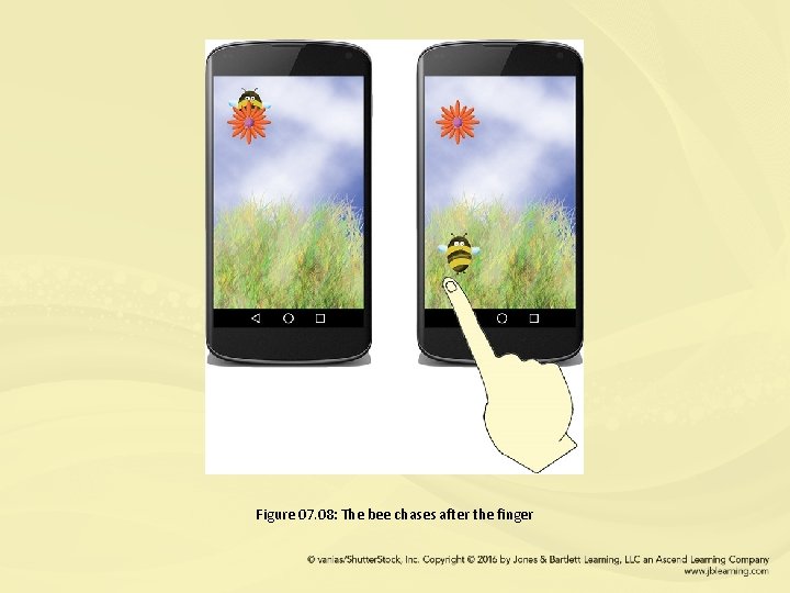 Figure 07. 08: The bee chases after the finger 