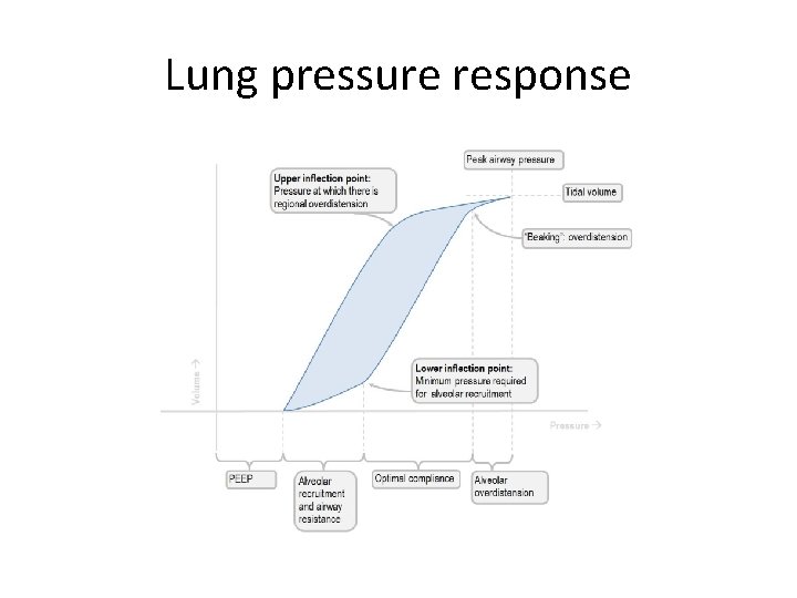 Lung pressure response 