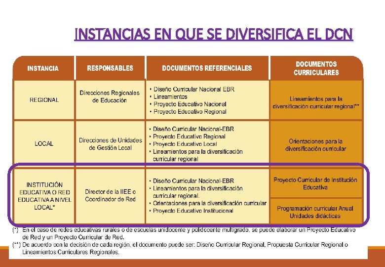 INSTANCIAS EN QUE SE DIVERSIFICA EL DCN 