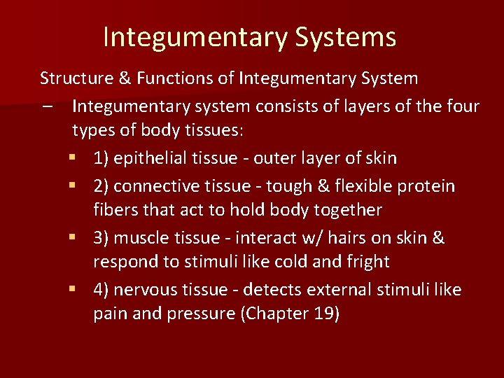 Integumentary Systems Structure & Functions of Integumentary System – Integumentary system consists of layers