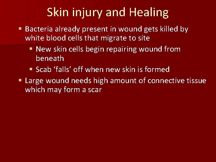 Skin injury and Healing § Bacteria already present in wound gets killed by white