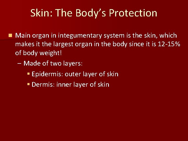 Skin: The Body’s Protection n Main organ in integumentary system is the skin, which