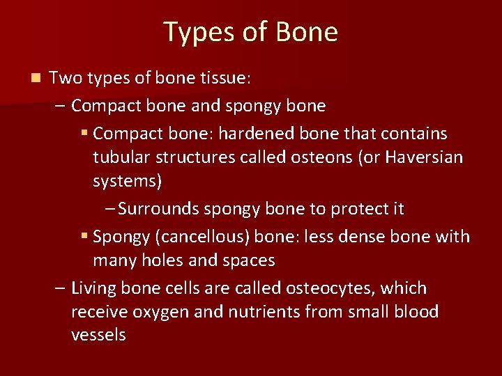Types of Bone n Two types of bone tissue: – Compact bone and spongy