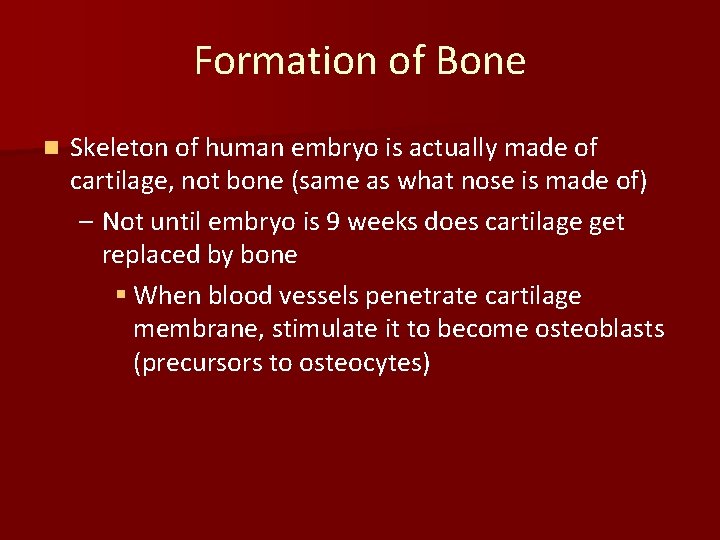 Formation of Bone n Skeleton of human embryo is actually made of cartilage, not