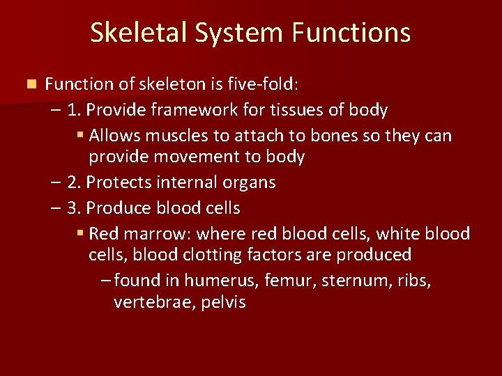 Skeletal System Functions n Function of skeleton is five-fold: – 1. Provide framework for
