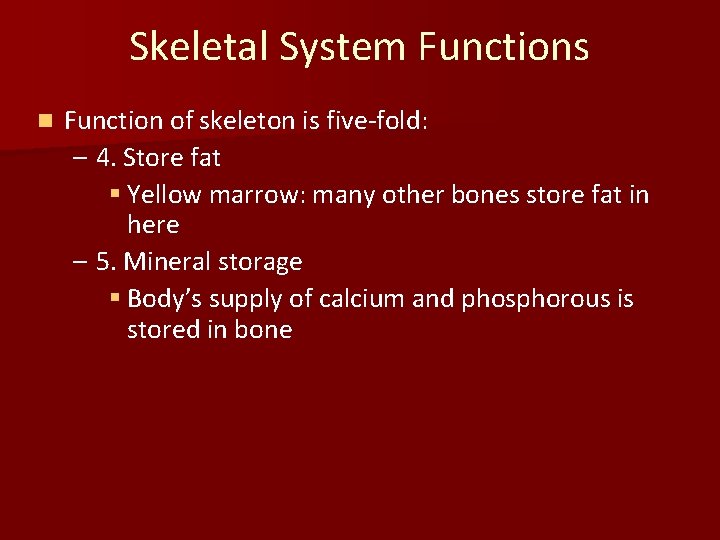 Skeletal System Functions n Function of skeleton is five-fold: – 4. Store fat §
