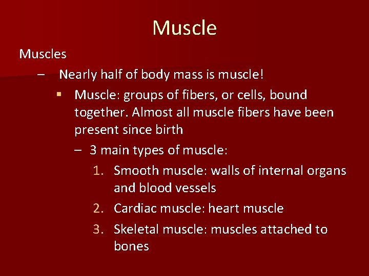 Muscles – Nearly half of body mass is muscle! § Muscle: groups of fibers,