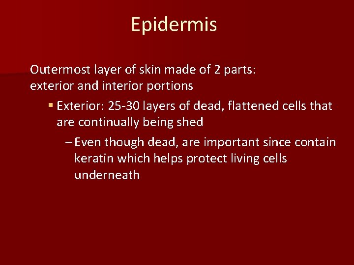 Epidermis Outermost layer of skin made of 2 parts: exterior and interior portions §