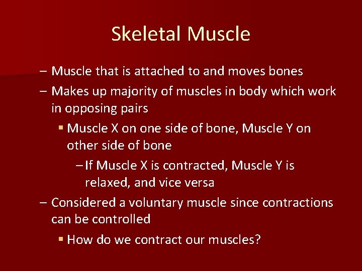 Skeletal Muscle – Muscle that is attached to and moves bones – Makes up