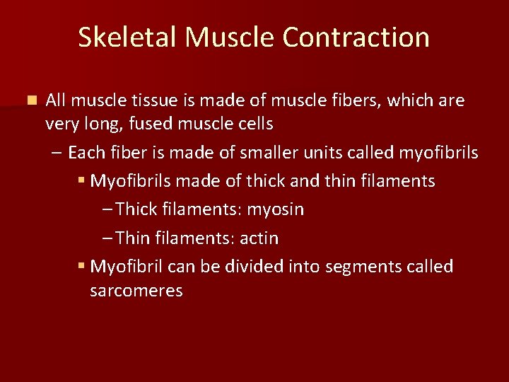 Skeletal Muscle Contraction n All muscle tissue is made of muscle fibers, which are
