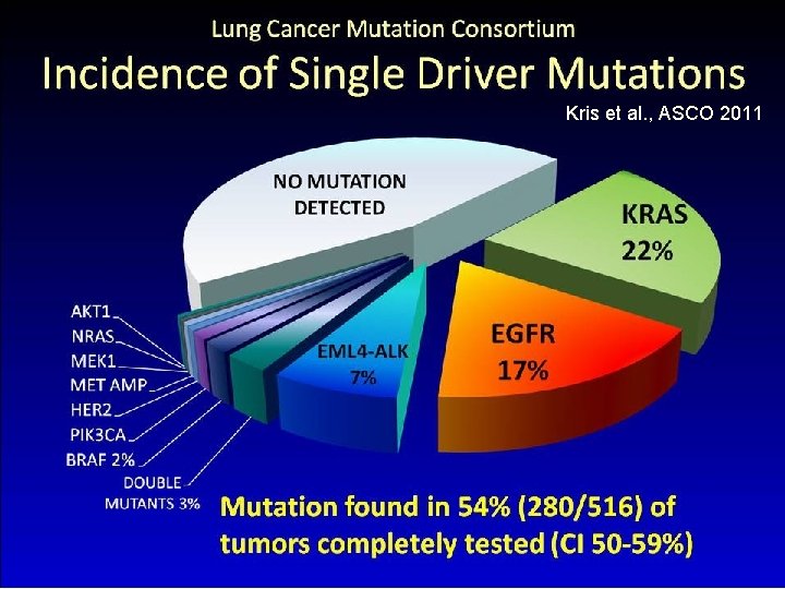 Perspectives in Lung Cancer 5 th Asian Pacific