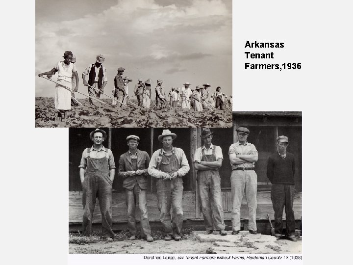 Arkansas Tenant Farmers, 1936 