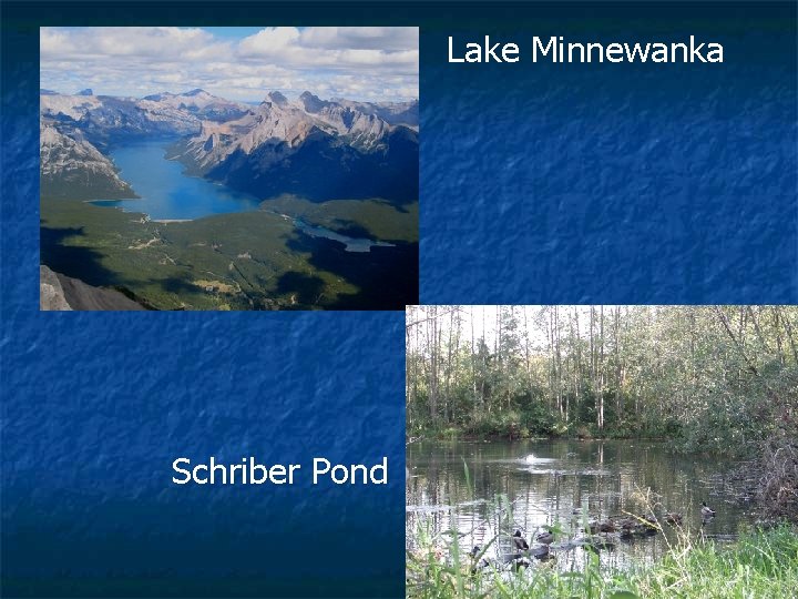 Lake Minnewanka Schriber Pond 