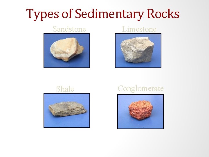 Types of Sedimentary Rocks Sandstone Shale Limestone Conglomerate 