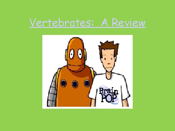 Vertebrates: A Review 