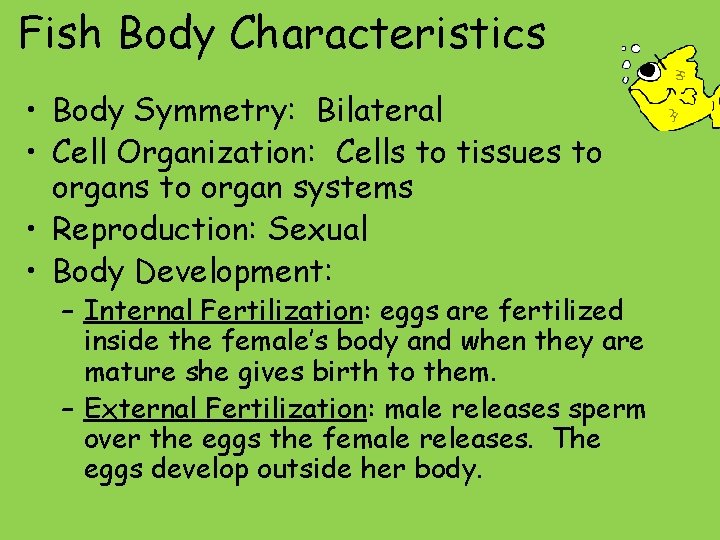 Fish Body Characteristics • Body Symmetry: Bilateral • Cell Organization: Cells to tissues to