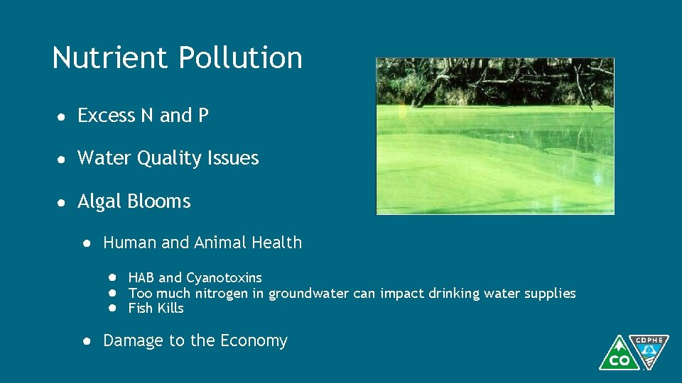 Nutrient Pollution ● Excess N and P ● Water Quality Issues ● Algal Blooms