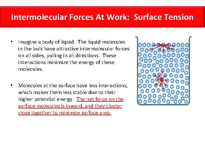 Intermolecular Forces At Work: Surface Tension • Imagine a body of liquid. The liquid