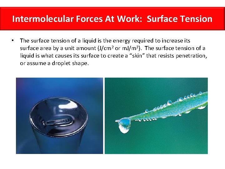 Intermolecular Forces At Work: Surface Tension • The surface tension of a liquid is