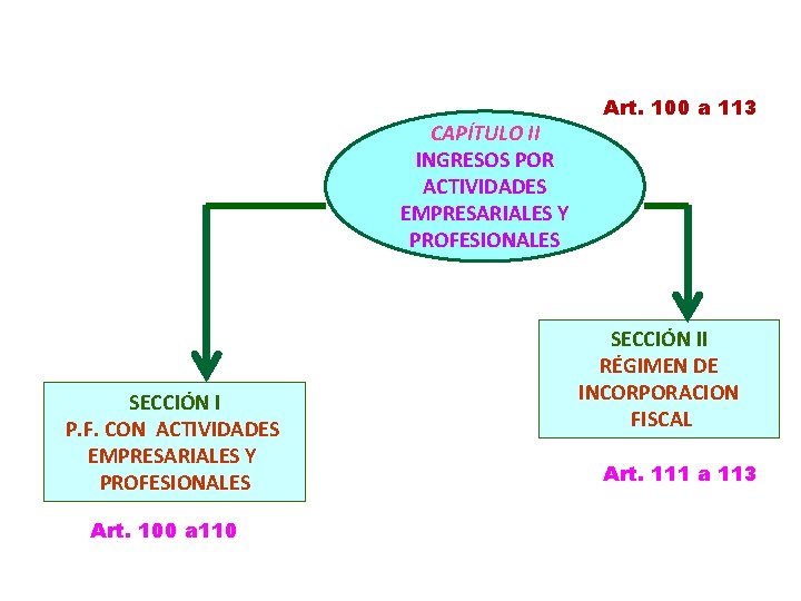 CAPÍTULO II INGRESOS POR ACTIVIDADES EMPRESARIALES Y PROFESIONALES SECCIÓN I P. F. CON ACTIVIDADES
