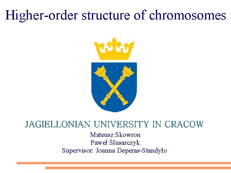 Higher-order structure of chromosomes Mateusz Skowron Paweł Ślusarczyk Supervisor: Joanna Deperas-Standyło 