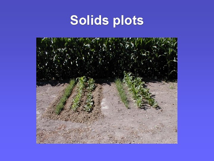 Solids plots Solids plots