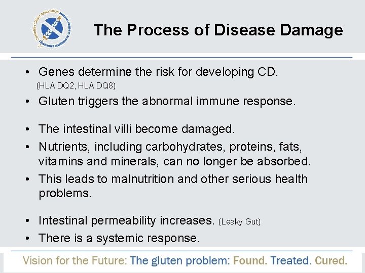 The Process of Disease Damage • Genes determine the risk for developing CD. (HLA