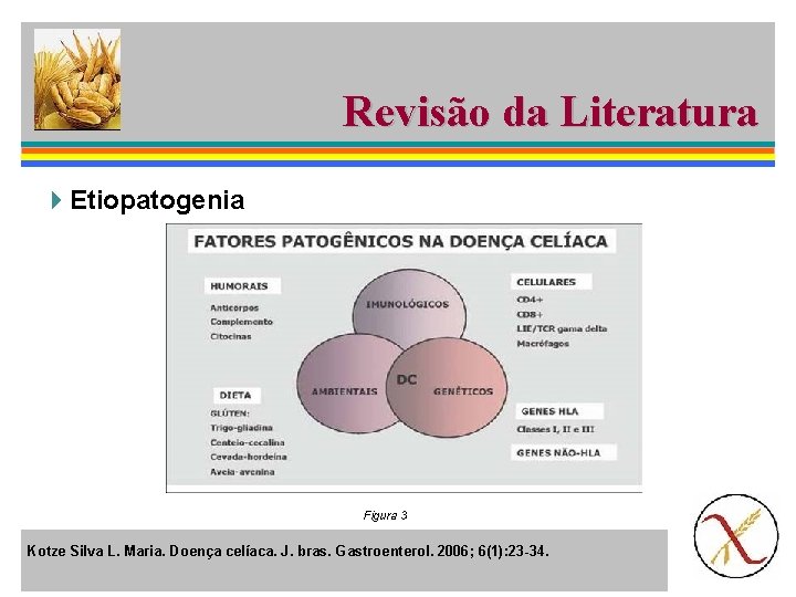 Revisão da Literatura 4 Etiopatogenia Figura 3 Kotze Silva L. Maria. Doença celíaca. J.