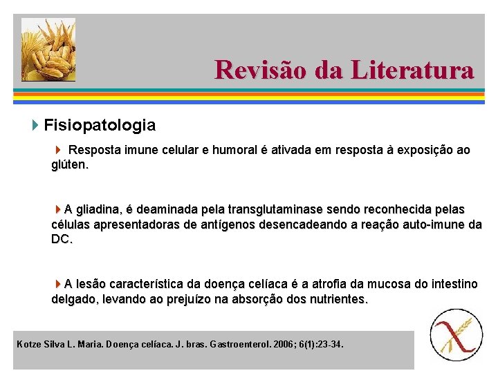 Revisão da Literatura 4 Fisiopatologia 4 Resposta imune celular e humoral é ativada em