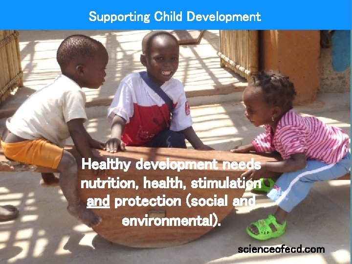 Supporting Child Development Healthy development needs nutrition, health, stimulation and protection (social and environmental).