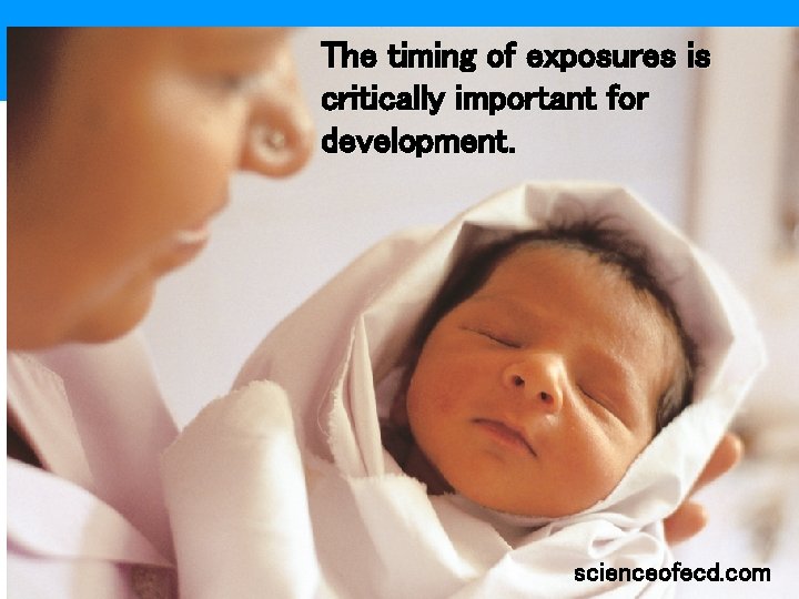 The timing of exposures is critically important for development. scienceofecd. com 