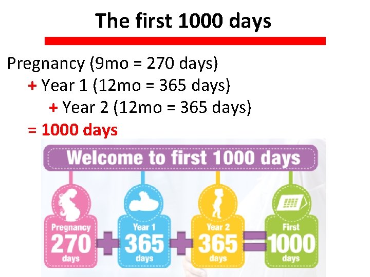 The first 1000 days Pregnancy (9 mo = 270 days) + Year 1 (12