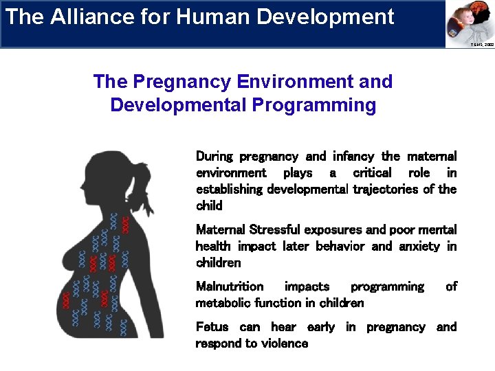 The Alliance for Human Development Research Priorities TEMS, 2002 The Pregnancy Environment and Developmental