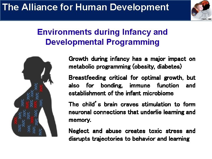 The Alliance for Human Development Research Priorities Environments during Infancy and Developmental Programming Growth