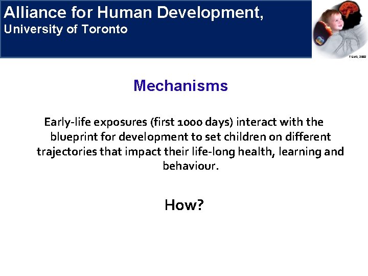 Alliance for Human Development, Research Priorities University of Toronto TEMS, 2002 Mechanisms Early-life exposures