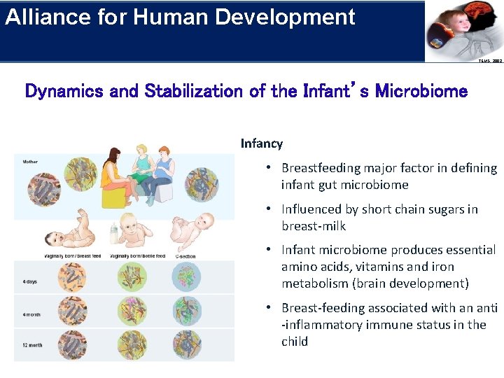 Alliance for Human Development Research Priorities TEMS, 2002 Dynamics and Stabilization of the Infant’s