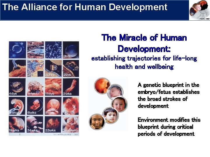 The Alliance for Human Development Research Priorities TEMS, 2002 The Miracle of Human Development: