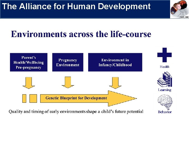 The Alliance for Human Development Research Priorities TEMS, 2002 