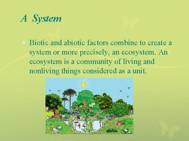 A System Biotic and abiotic factors combine to create a system or more precisely,