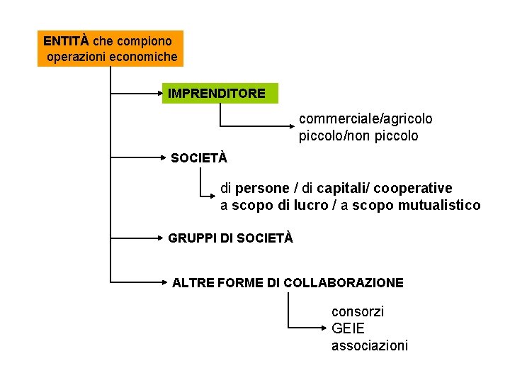 ENTITÀ che compiono operazioni economiche IMPRENDITORE commerciale/agricolo piccolo/non piccolo SOCIETÀ di persone / di