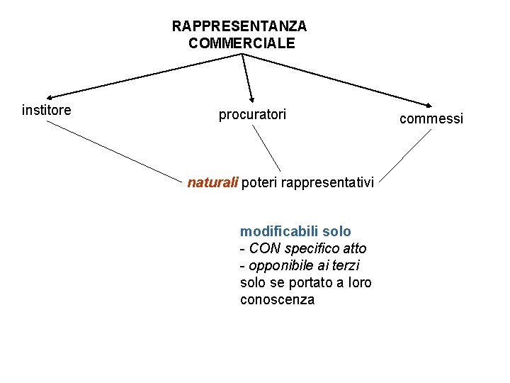 RAPPRESENTANZA COMMERCIALE institore procuratori naturali poteri rappresentativi modificabili solo - CON specifico atto -